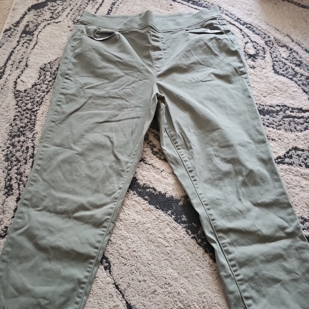 Gloria Vanderbilt Sage Green All Around Slimming Pants Sz 16